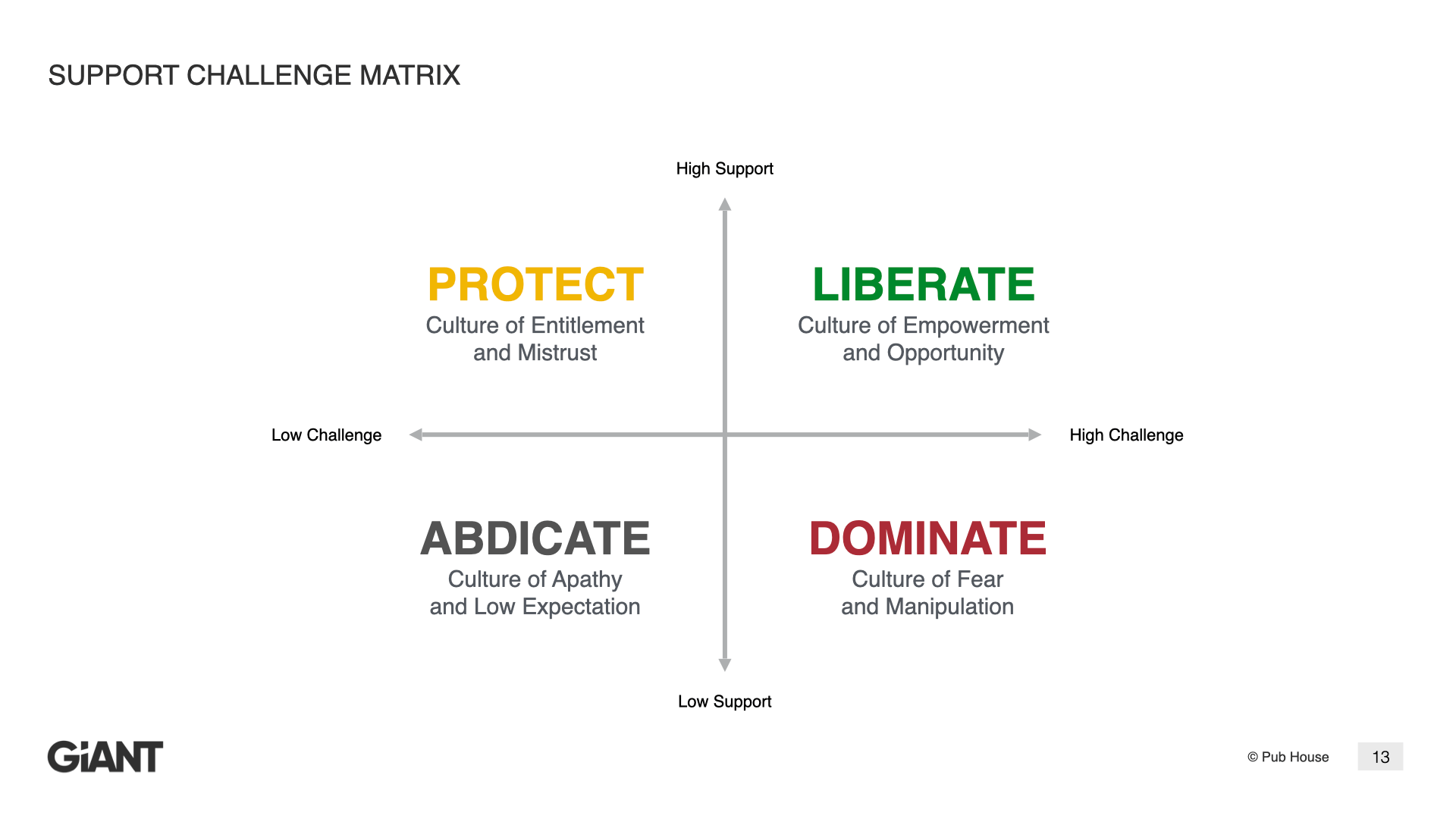 Leading with Intent: The Support Challenge Matrix